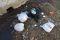 image004