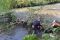 IMG-38c48e70996b28561e5907d86f35cd9f-V